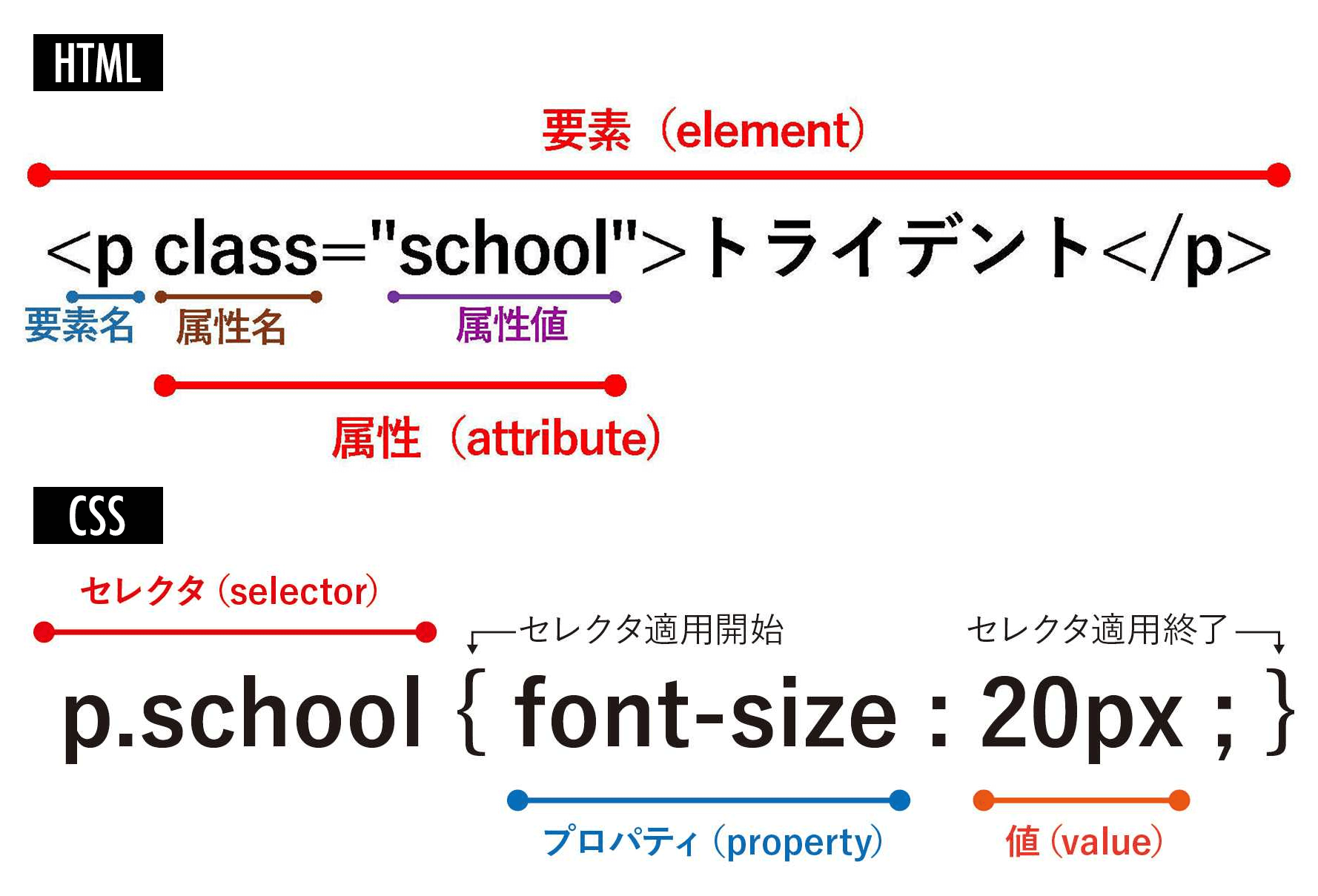 HTMLとCSSの文書構造名